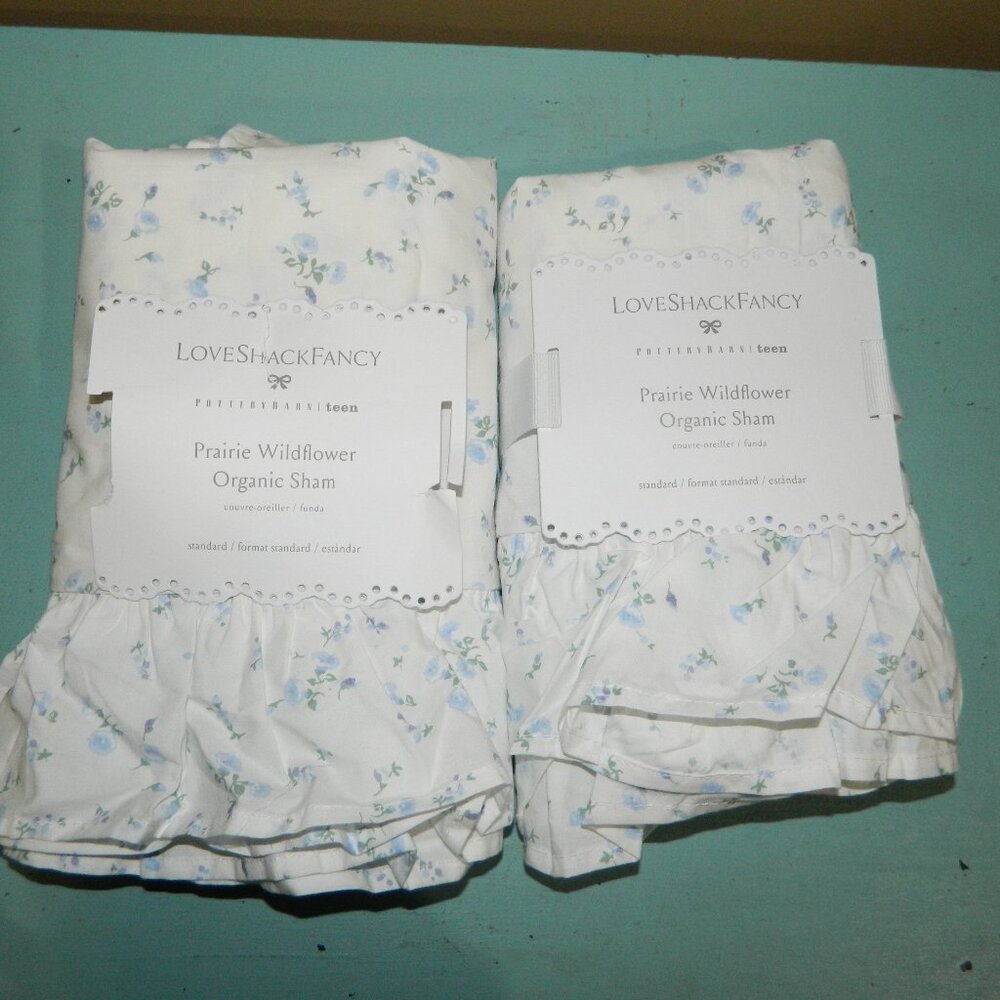 Pottery Barn LoveShackFancy Prairie Wildflower Sham Lof of 2 (UU-4)